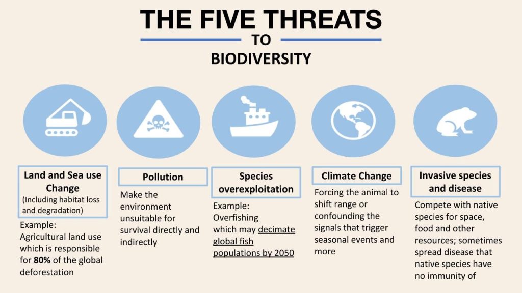 De vijf bedreigingen van biodiversiteit